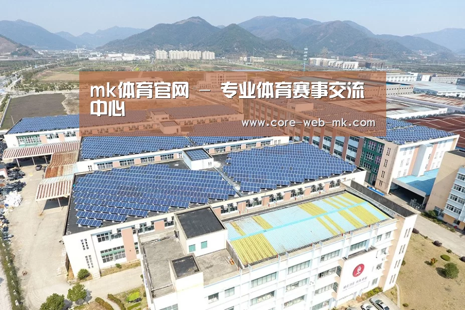 案例展示二