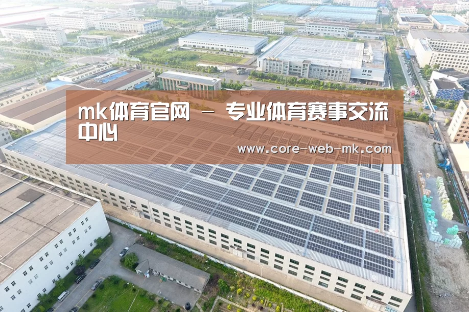 案例展示一