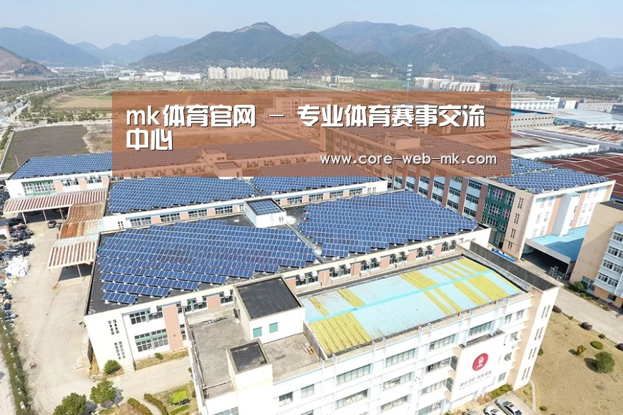 案例展示四