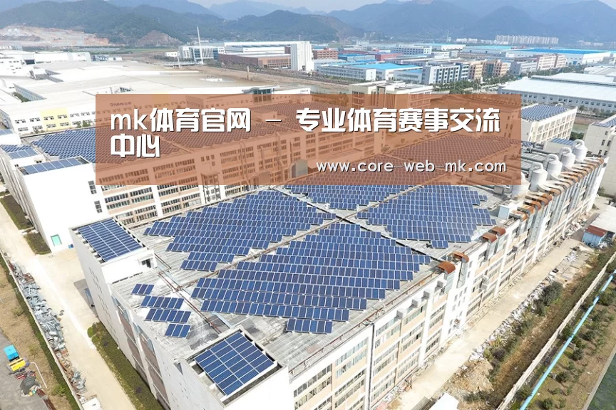 案例展示二