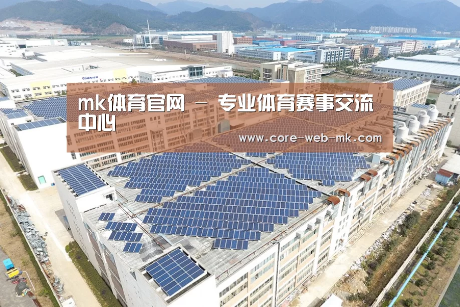 案例展示四