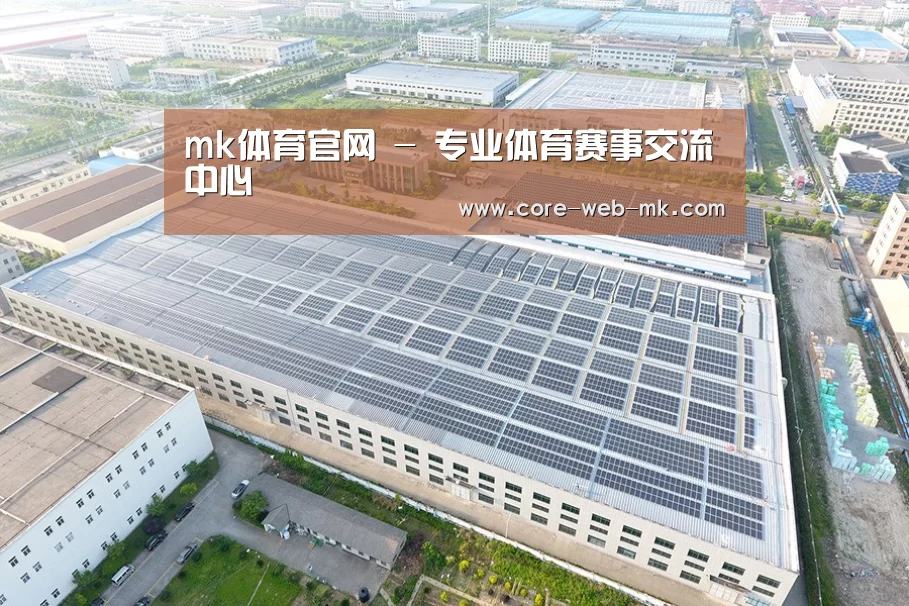 案例展示二