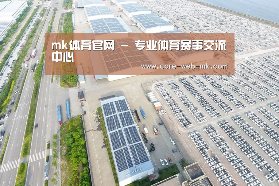 案例展示一