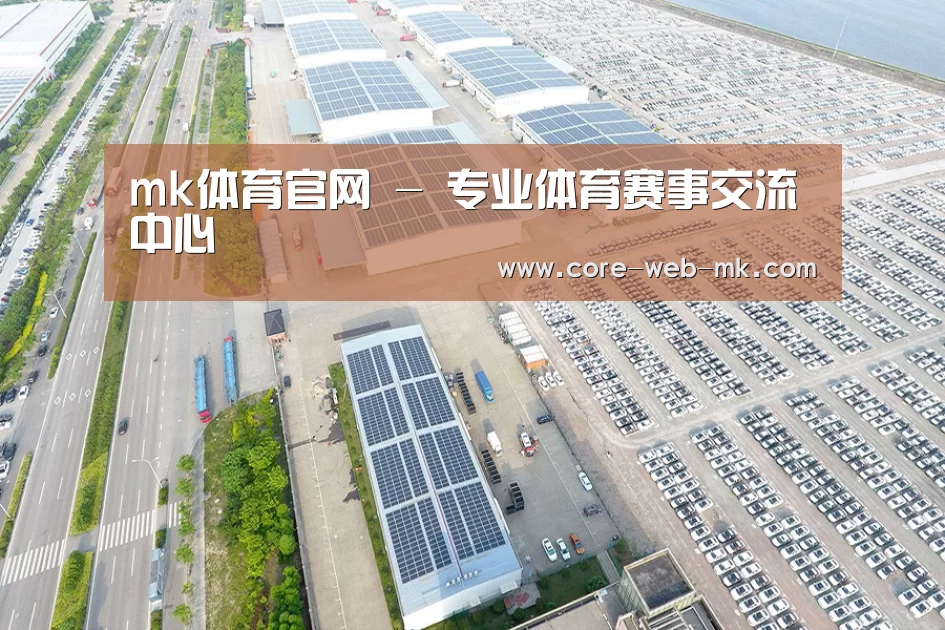 案例展示一