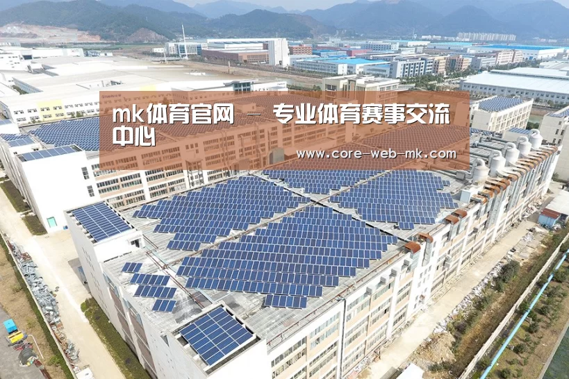 案例展示四