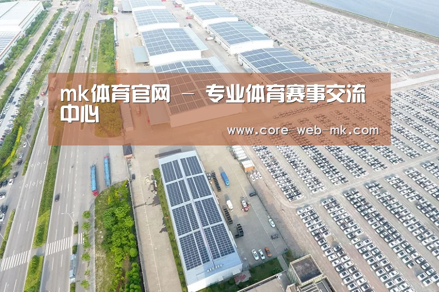 案例展示三