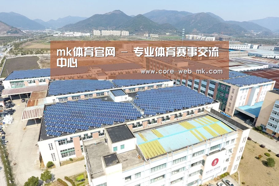 案例展示三
