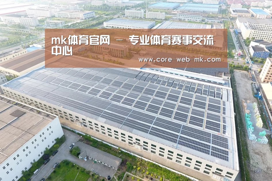案例展示四