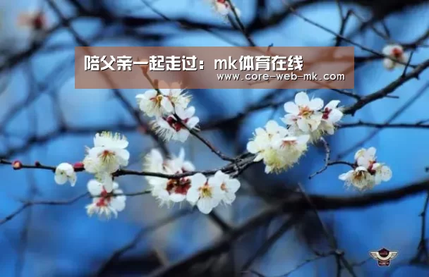 mk体育品牌站点