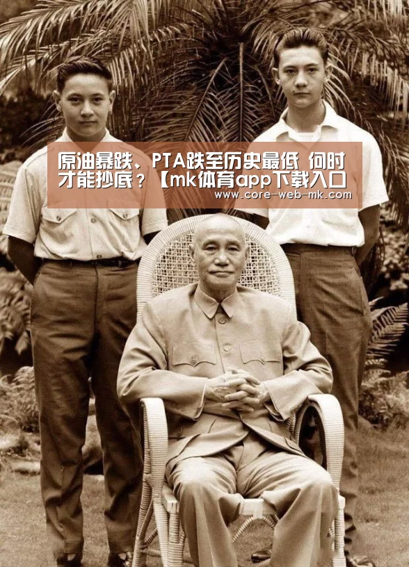 mk体育app下载入口