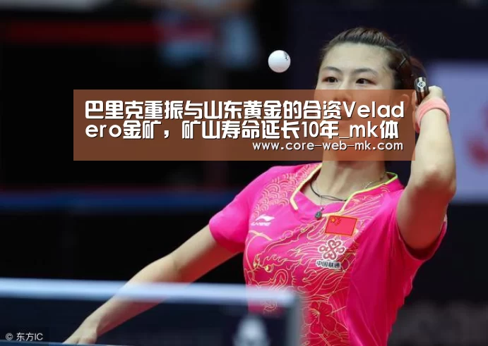 巴里克重振与山东黄金的合资Veladero金矿,矿山寿命延长10年_mk体育备用(图2) mk体育在线